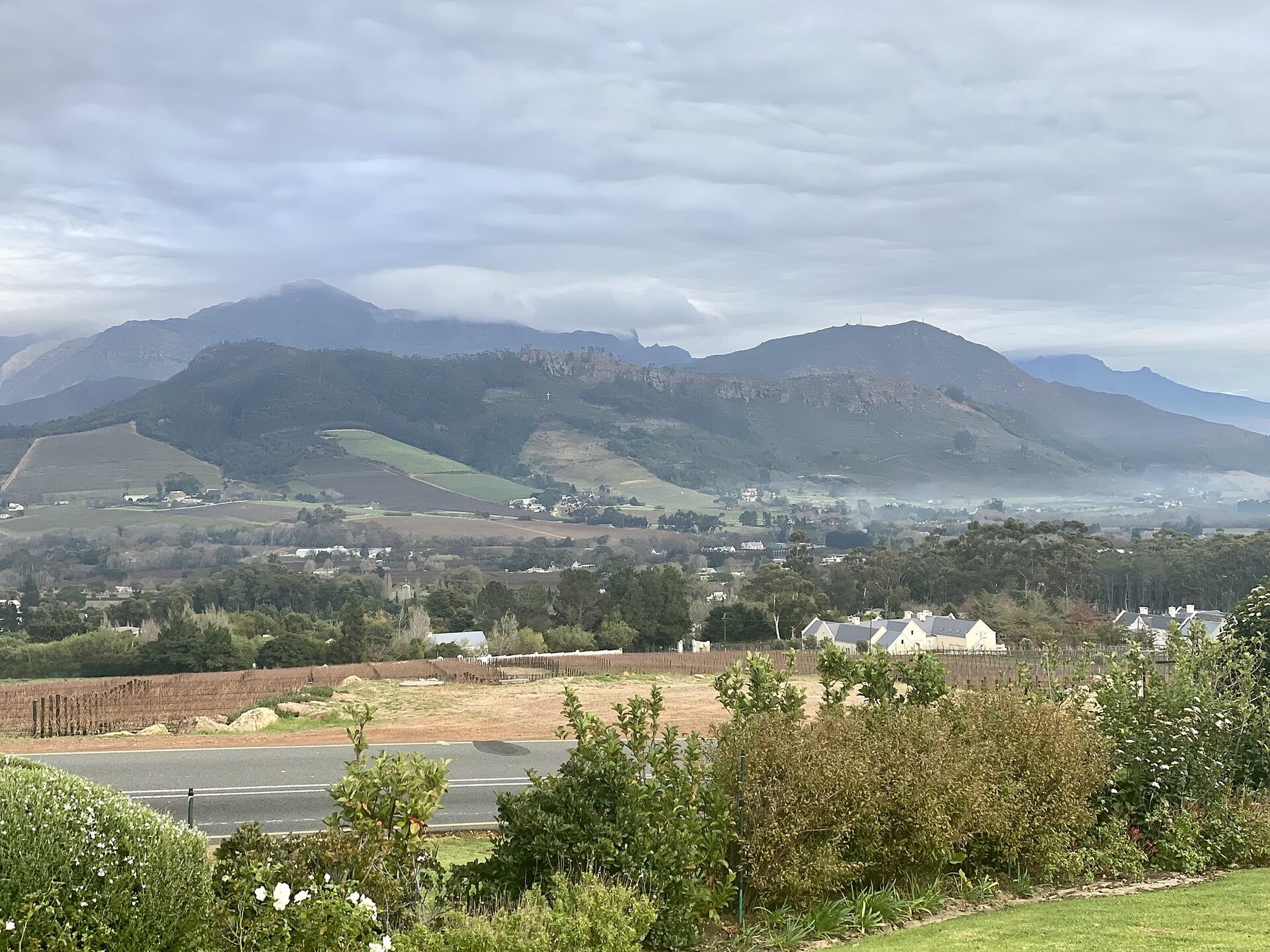 Cape Winelands