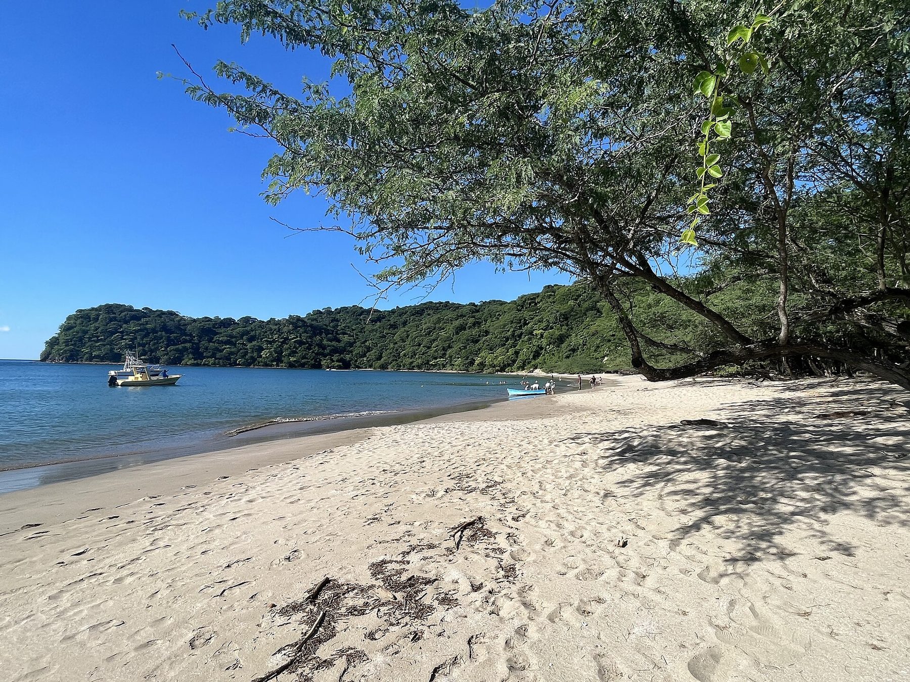 Guanacaste
