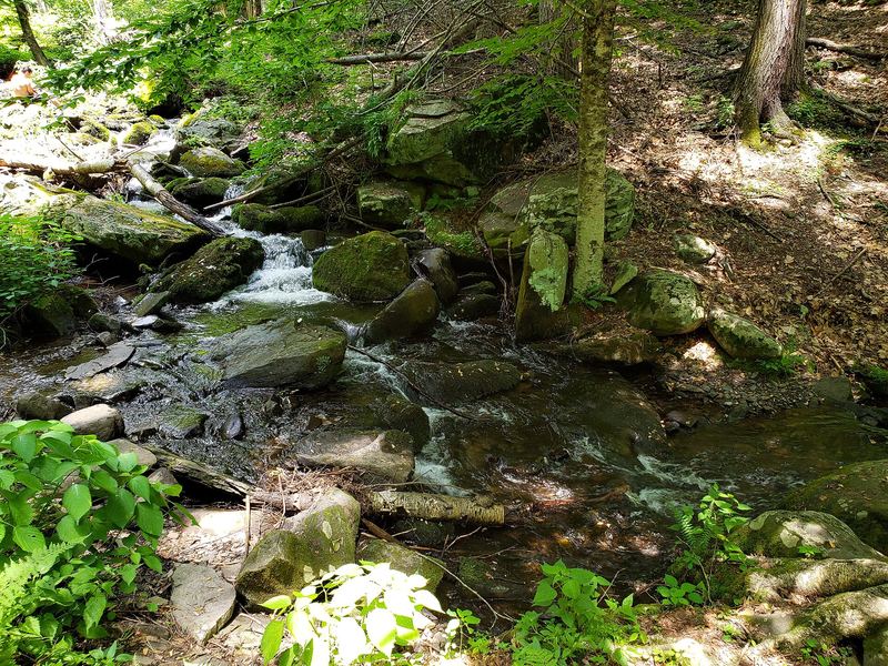 Poconos
