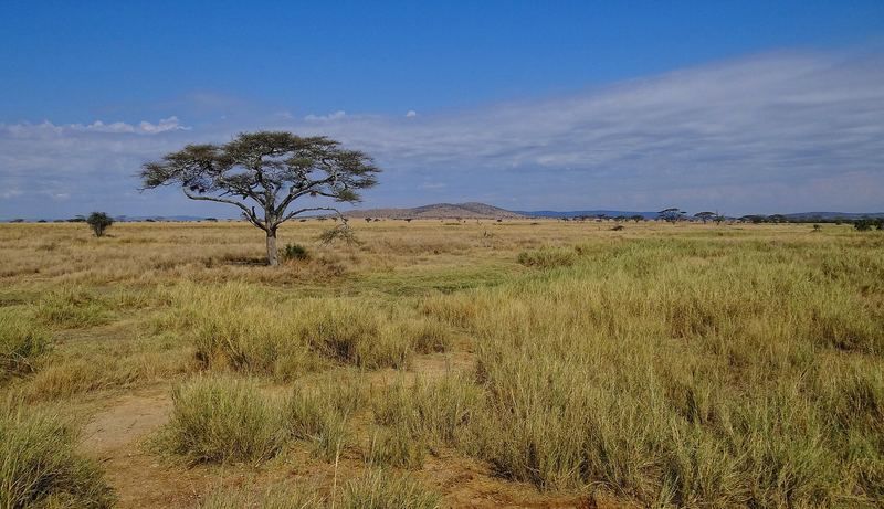 Tanzania