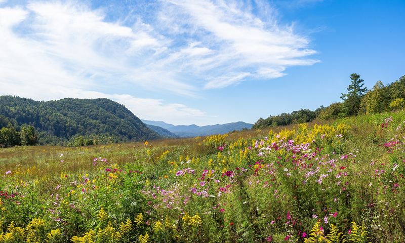 Great Smoky Mountains