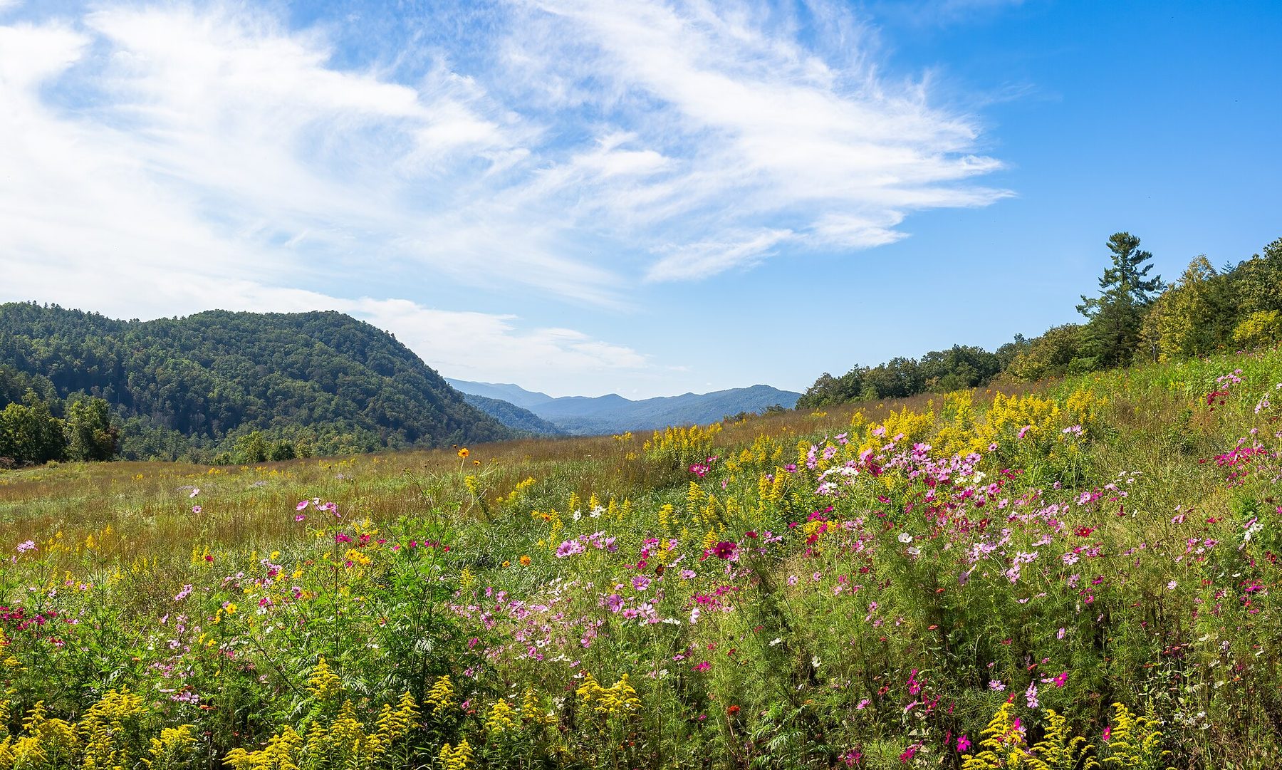 Great Smoky Mountains
