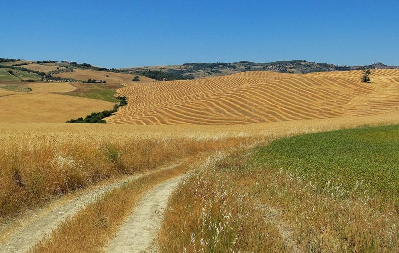 Tuscany