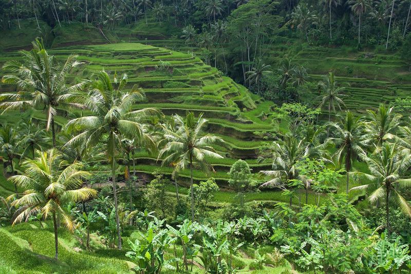 Indonesia
