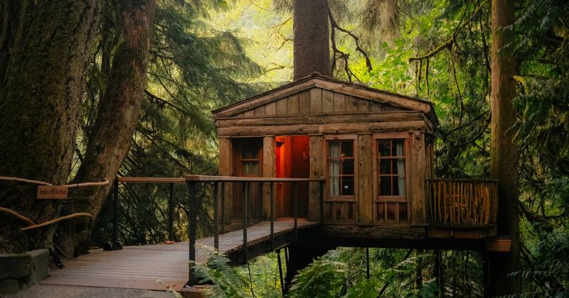 TreeHouse Point