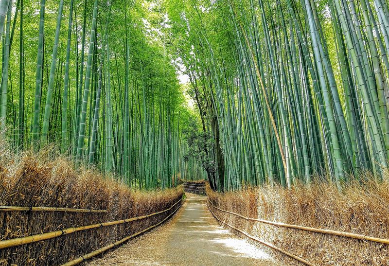 Hoshinoya Kyoto