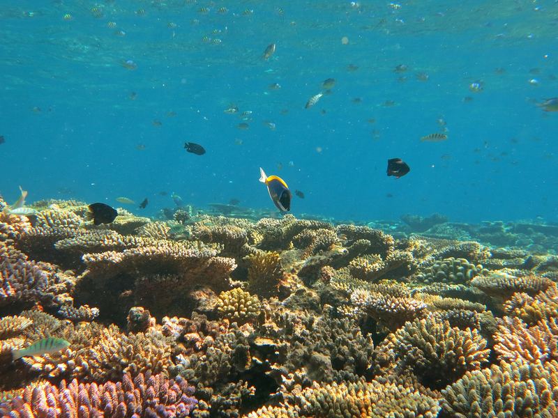Soneva Fushi